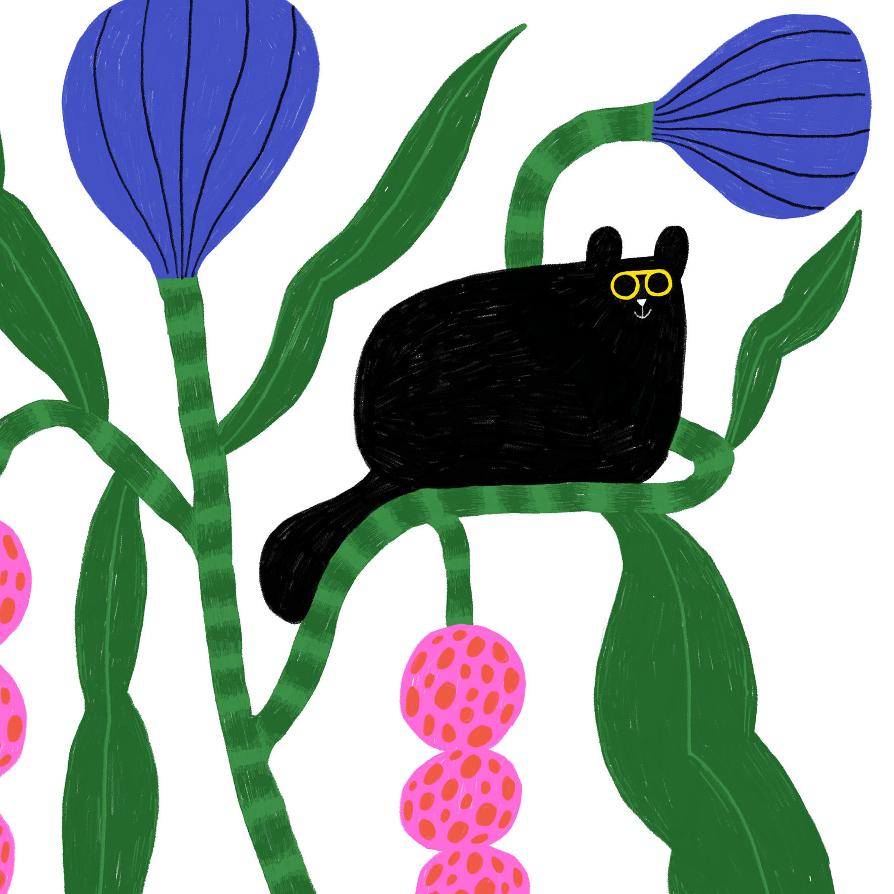 CHAT PERCHÉ- 30X40 CM